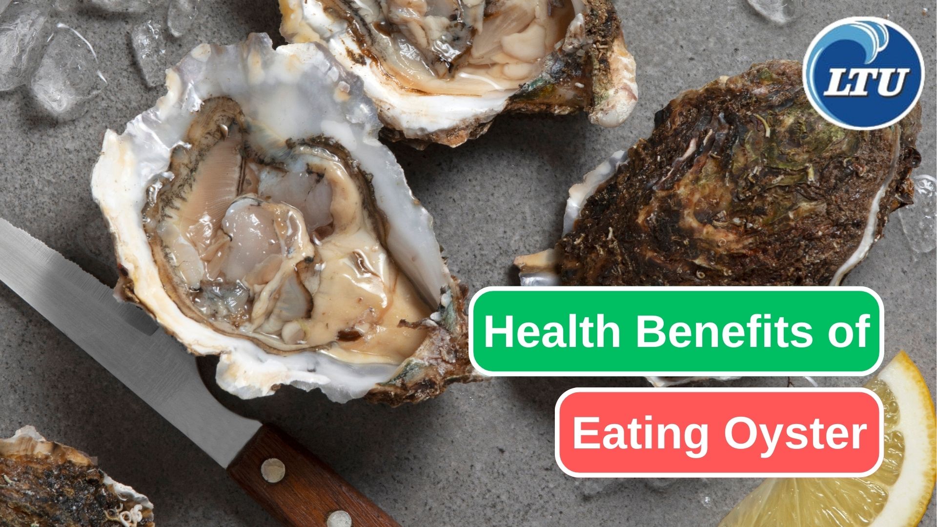 10 Reasons Why Eating Oyster Is Good for Your Health